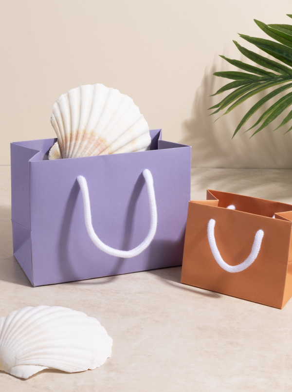 A guide to choosing the right size gift bags for your business